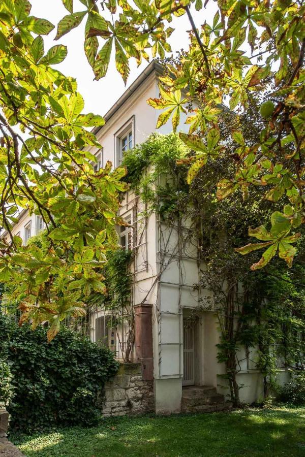 Ferienwohnung Am Dom II Naumburg (Saale) Exterior foto